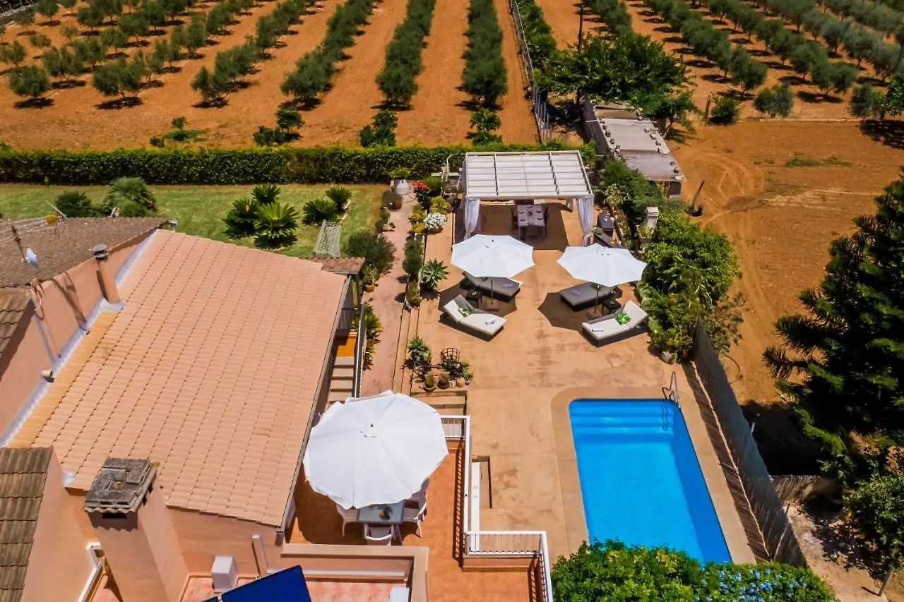 Ideal Property Mallorca - Els Moyans Muro 0*,  Spain