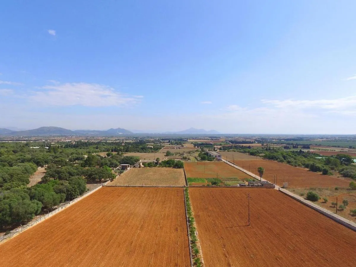 Country house Ideal Property Mallorca - Els Moyans Muro Spain