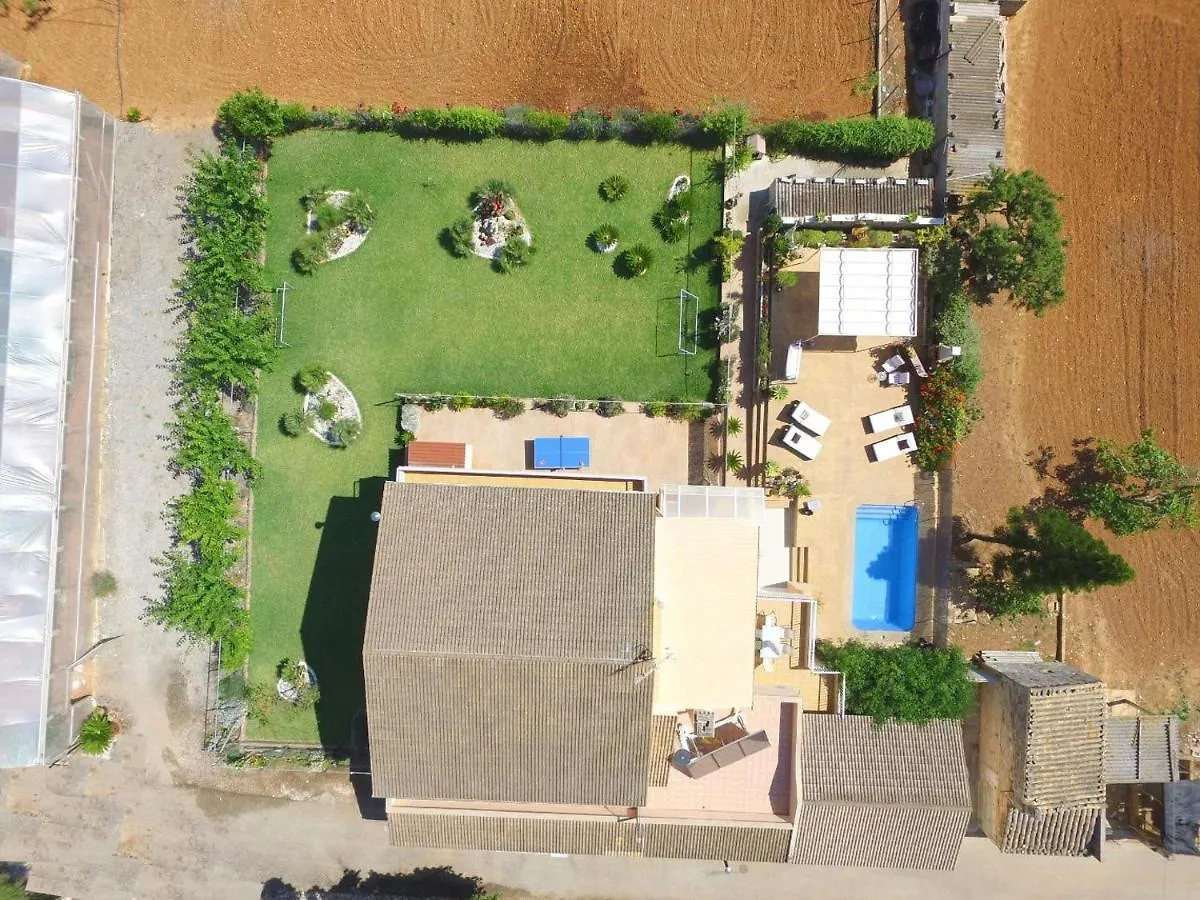 Ideal Property Mallorca - Els Moyans Muro